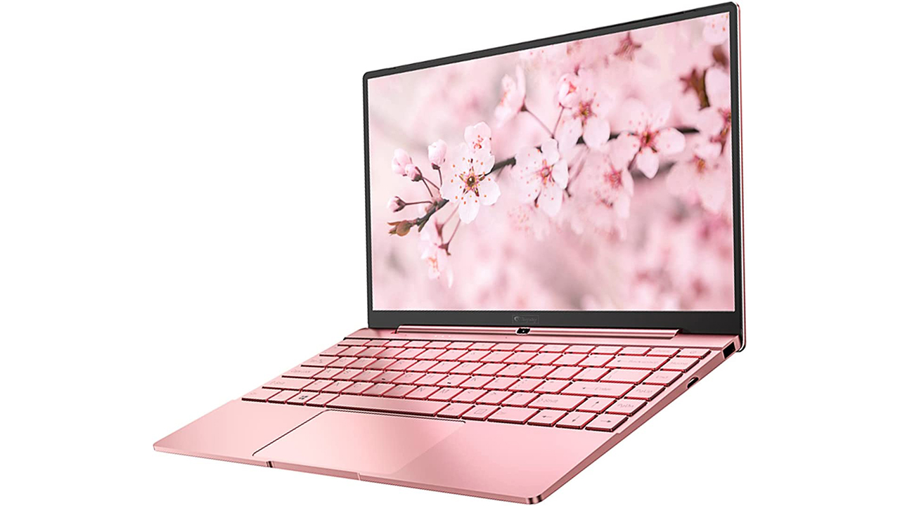 insuficiente Inferir pacífico Daysky V14S, un ordenador portátil de color rosa llamativo